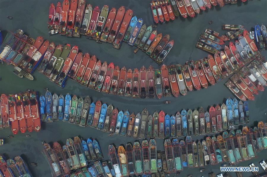Le typhon Nida contraint les bateaux de pêche à rester au port