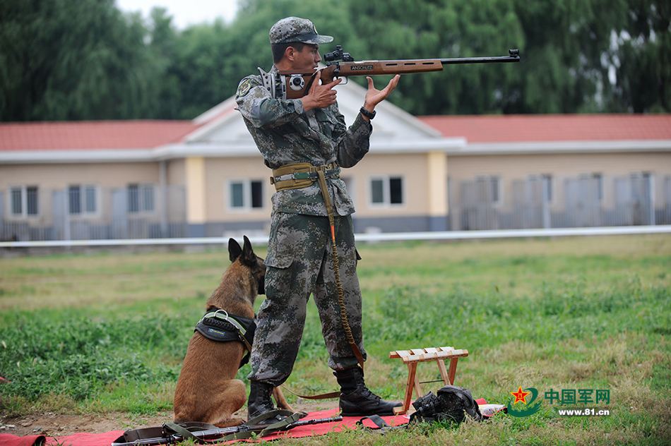 Des chiens chinois aux Jeux internationaux des Armées 2016