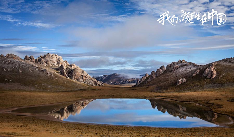 Disneynature : sortie imminente du film 