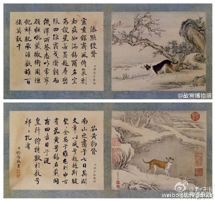 Quand la Cité interdite vend des vêtements pour chiens