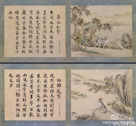 Quand la Cité interdite vend des vêtements pour chiens