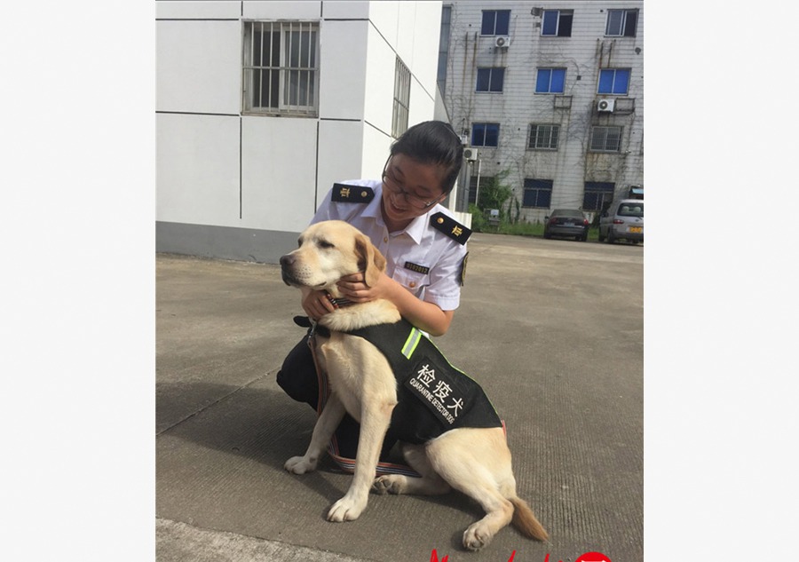 Retraite heureuse et paisible pour un chien renifleur 