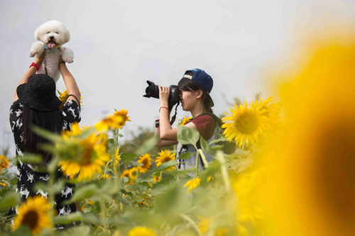 Les photos d'animaux co?tant des centaines de Dollars, c'est tendance !
