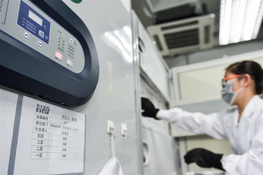 A la découverte de la Banque chinoise de gènes 