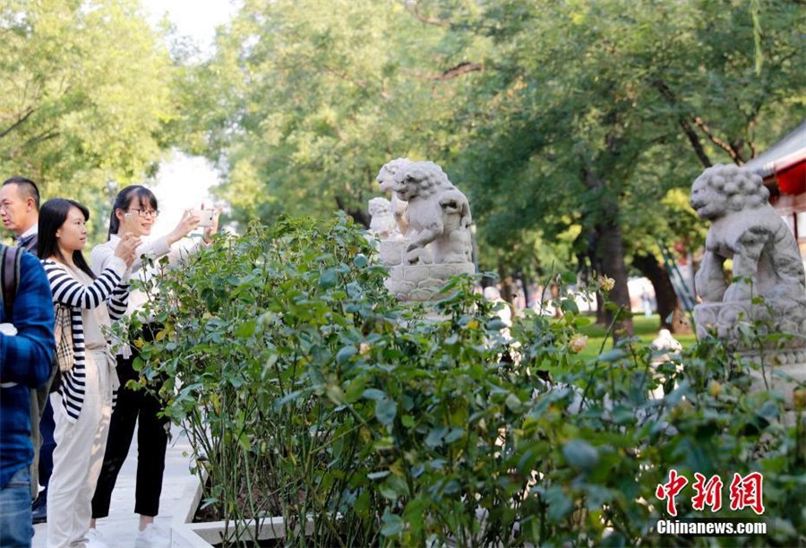 Ouverture au public d'une nouvelle partie mystérieuse de la Cité Interdite