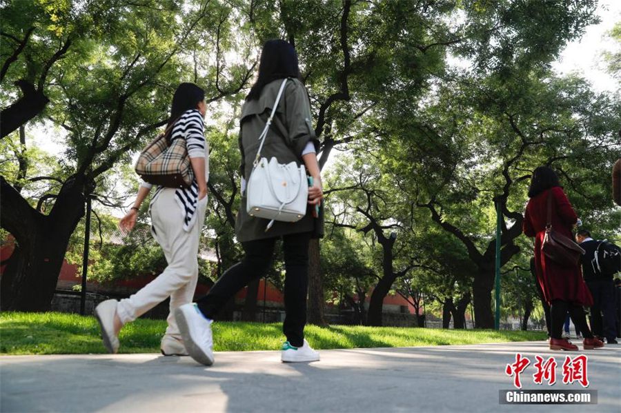 Ouverture au public d'une nouvelle partie mystérieuse de la Cité Interdite