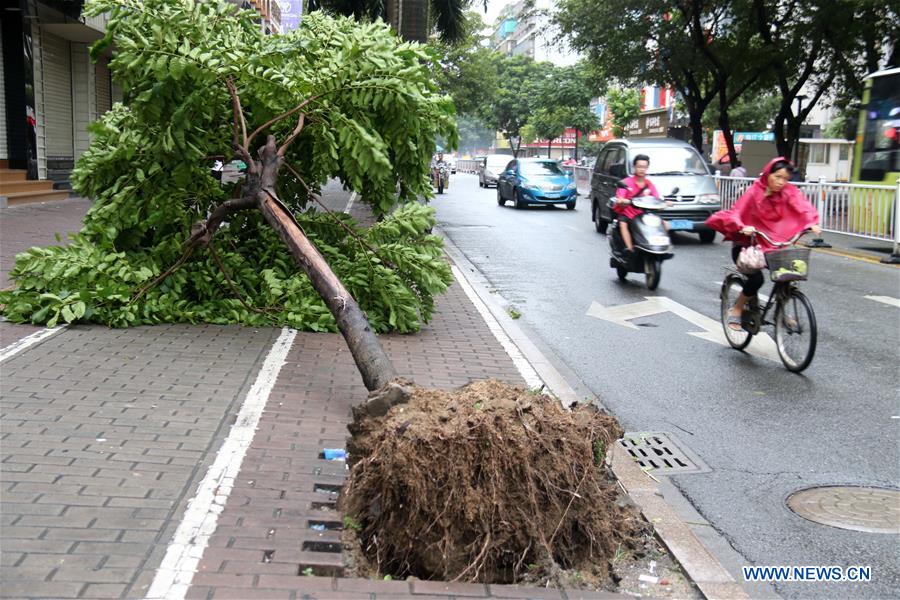 Le typhon Haima touche terre dans le sud de la Chine