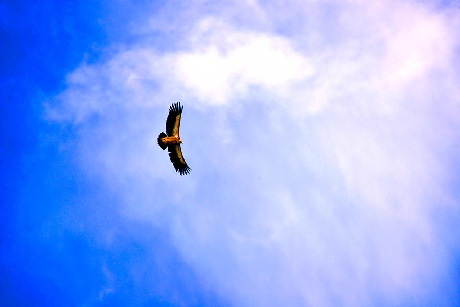 Les merveilles du Sichuan en photos