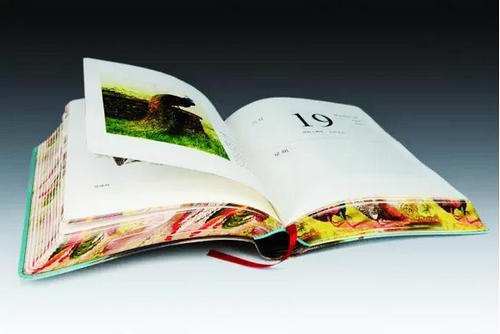 Première publication d'un calendrier du zodiaque en préparation de l'Année du Coq