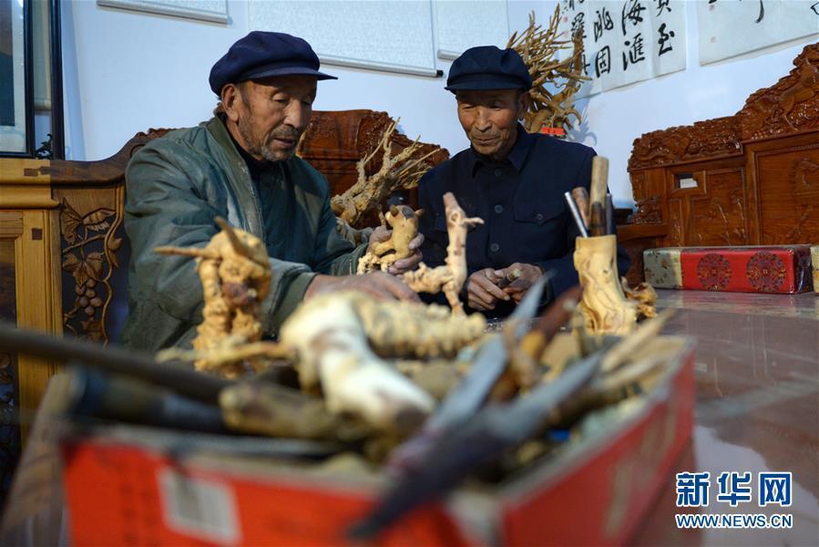 L’histoire de deux frères sexagénaires qui reboisent le pays