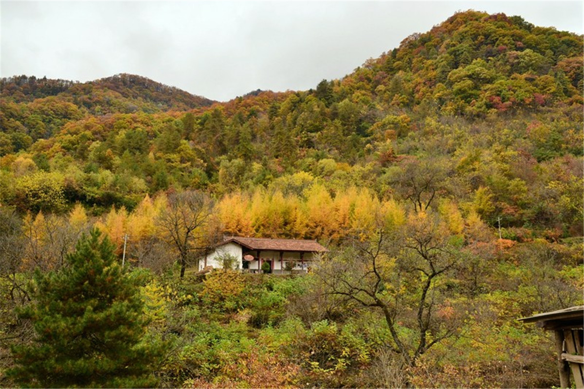 La ville de Huangboyuan re?oit la distinction des ? Plus beaux villages et villes de Chine ?