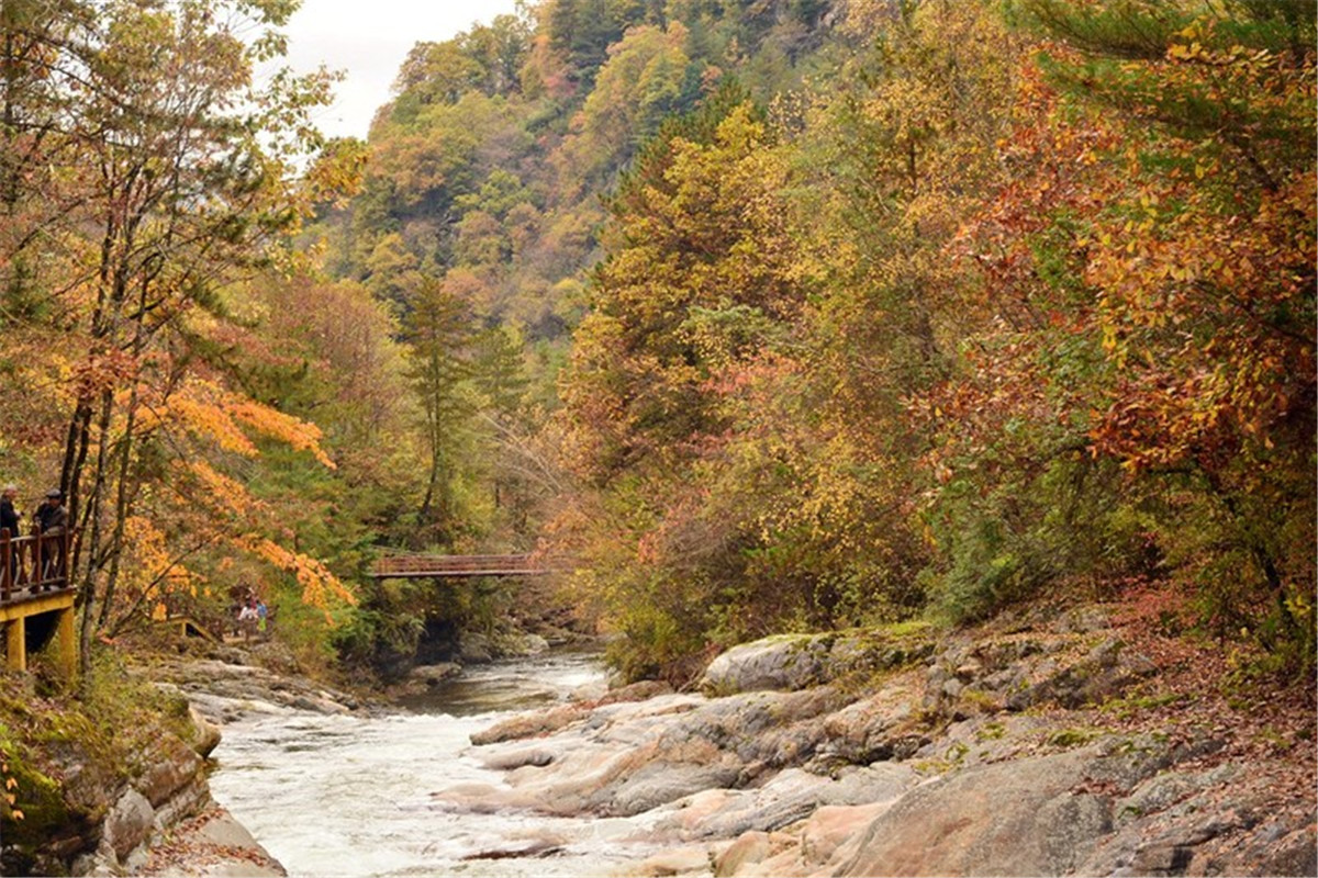 La ville de Huangboyuan re?oit la distinction des ? Plus beaux villages et villes de Chine ?