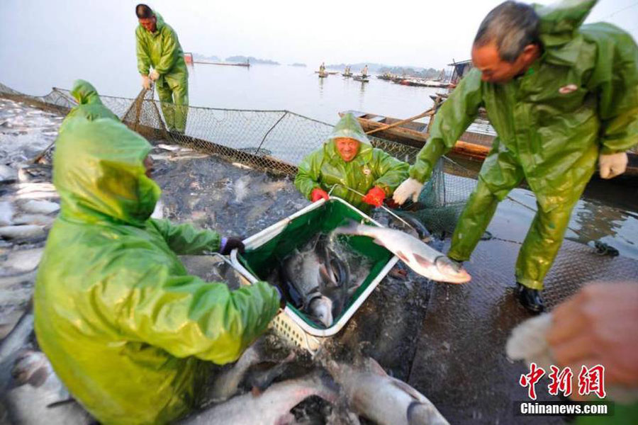 Début de la saison de la pêche sur le Lac aux Fées de Xinyu