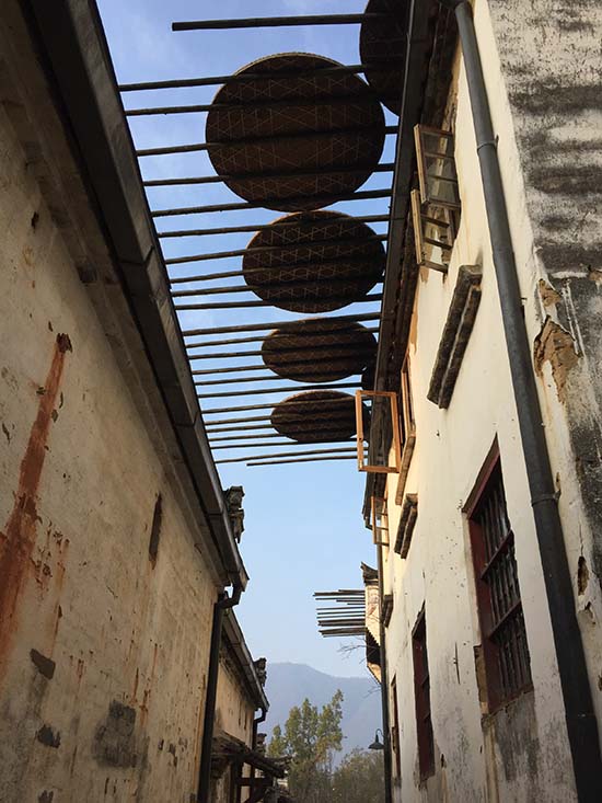 Wuyuan : la beauté idyllique d'un village chinois