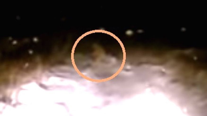 Un Yéti a-t-il été aper?u sur une route enneigée en Russie ?