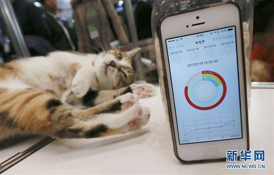 Animaux de compagnie en mode connecté