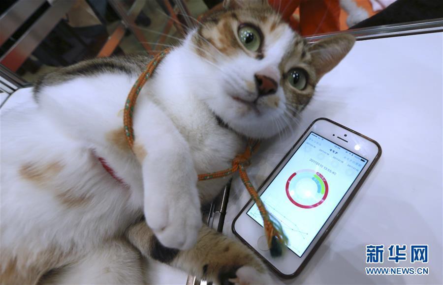 Animaux de compagnie en mode connecté