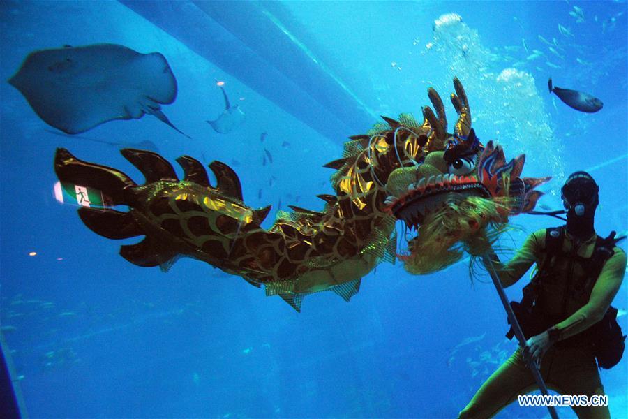 Nouvel An chinois à Singapour