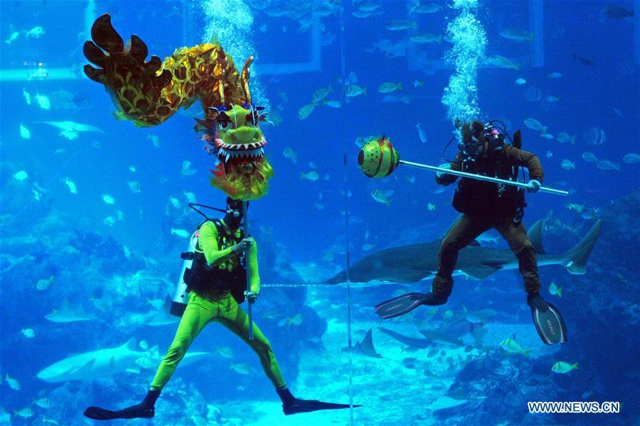 Nouvel An chinois à Singapour