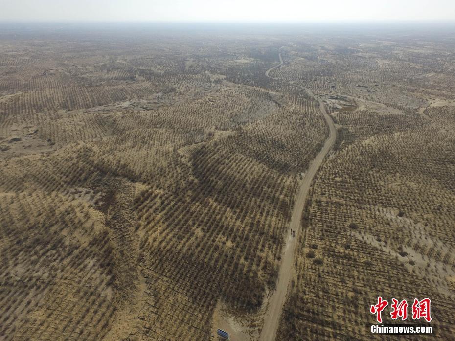 Une Grande Muraille verte au c?ur des déserts