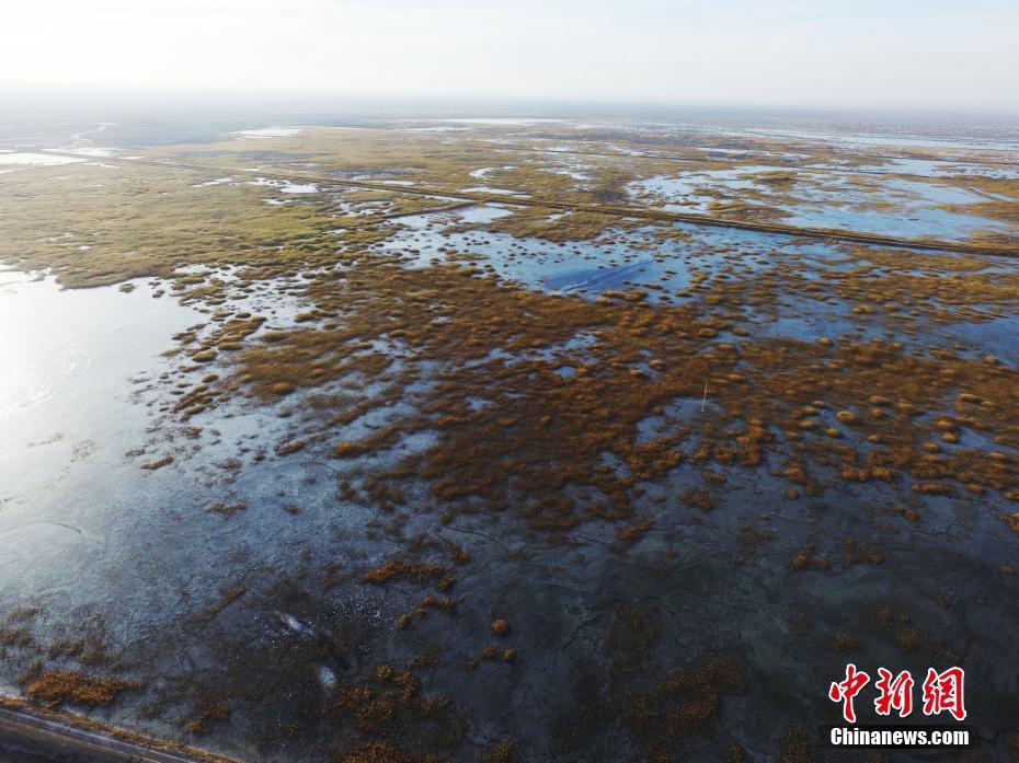Une Grande Muraille verte au c?ur des déserts