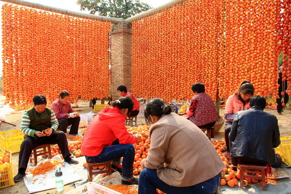 Les galettes de kaki de Fuping, une précieuse spécialité du Shaanxi