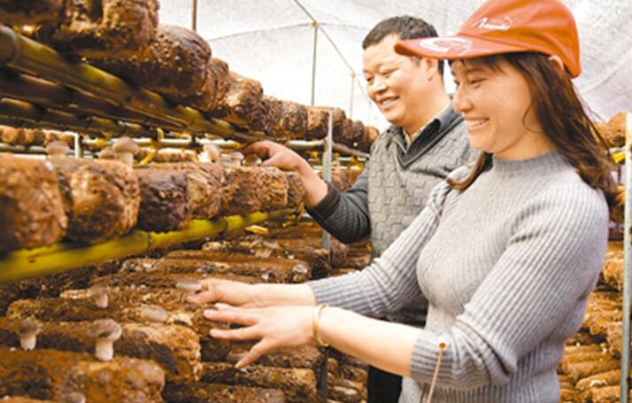 La grande contribution de la Chine dans la lutte contre la pauvreté 