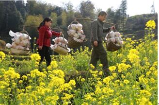 Le gouvernement fixe un objectif du nombre de pauvres inférieur à 2% de la population rurale totale