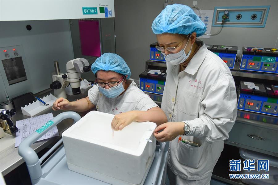 Des chercheurs chinois révolutionnent le monde de la génétique