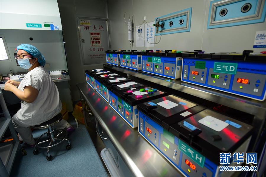 Des chercheurs chinois révolutionnent le monde de la génétique