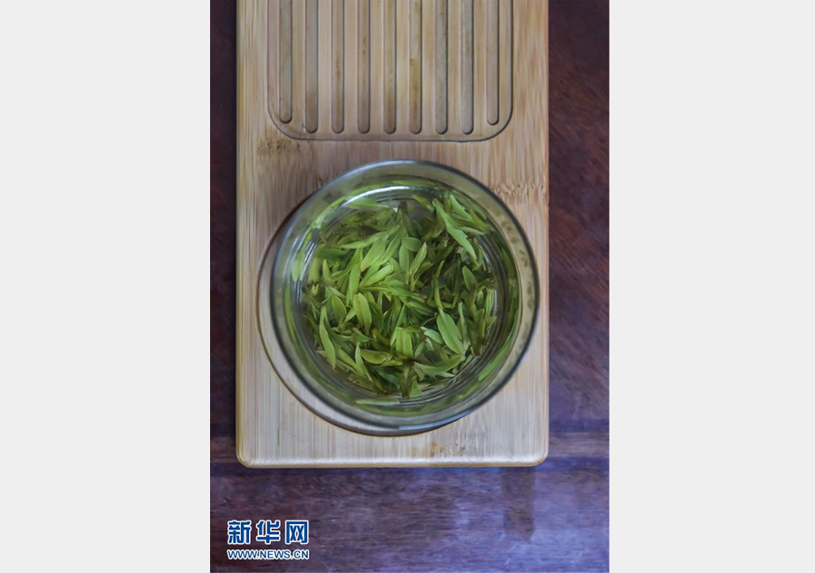 Les célèbres feuilles de thé Longjing, de la ceuillette à la diffusion