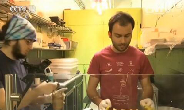 Gros succès à New York pour une collation chinoise des rues