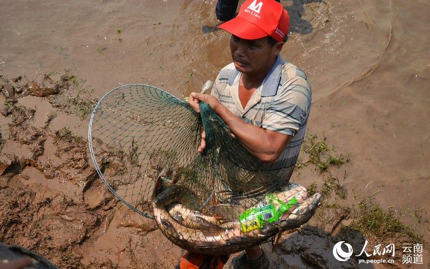 Concours de pêche dans le Yunnan