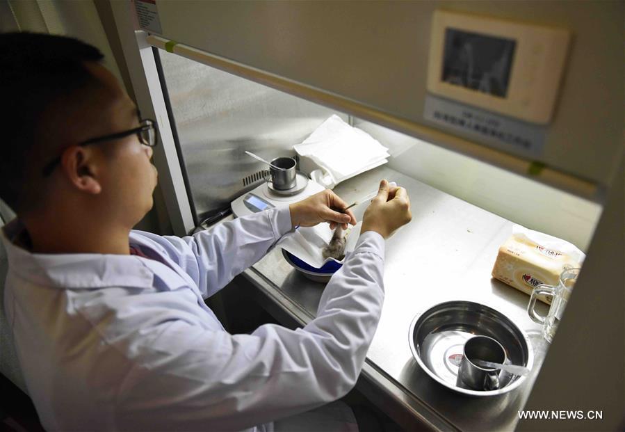 Naissance en Chine de deux bébés ibis à crête