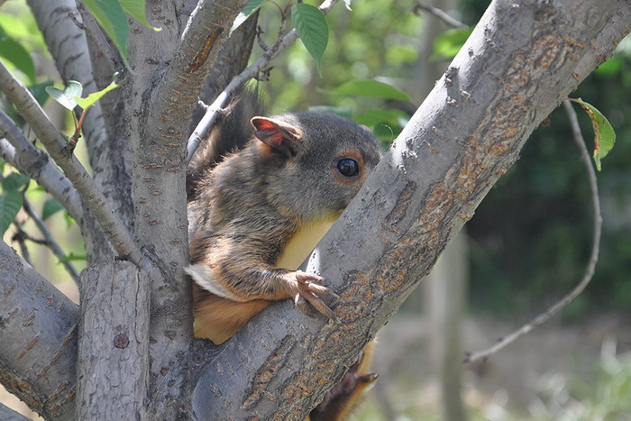 La paisible et pittoresque zone humide alpine des monts Qinling