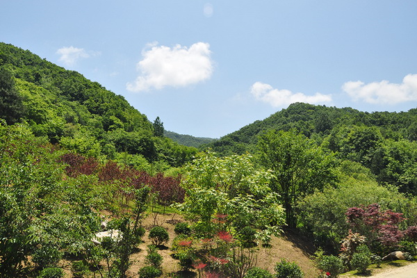 La paisible et pittoresque zone humide alpine des monts Qinling
