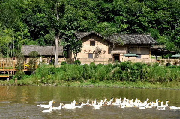 La paisible et pittoresque zone humide alpine des monts Qinling