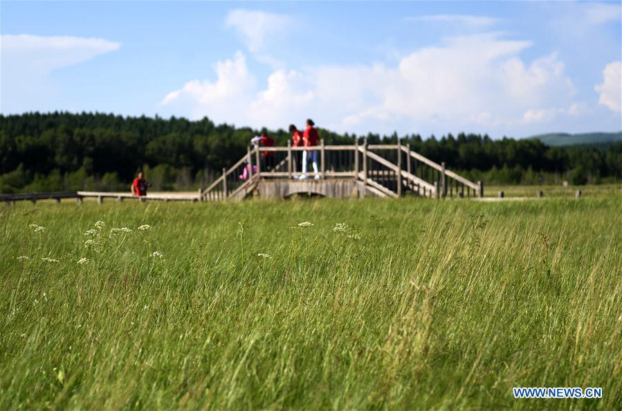 Hebei : la beauté du parc forestier national de Saihanba