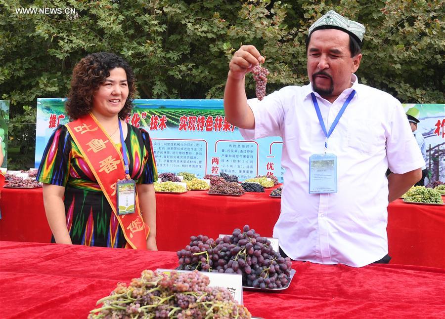 Ouverture du festival du raisin de Turpan 