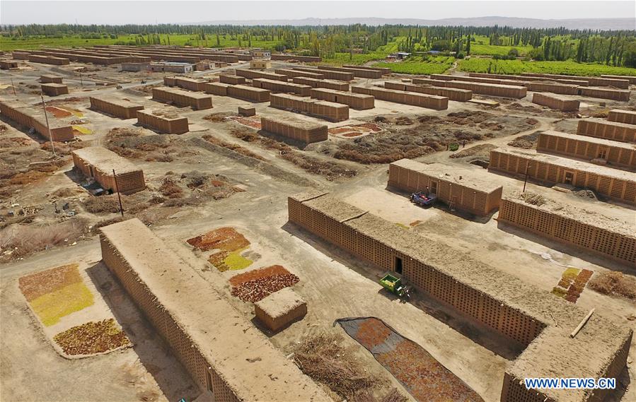 Production de raisins secs dans le Xinjiang