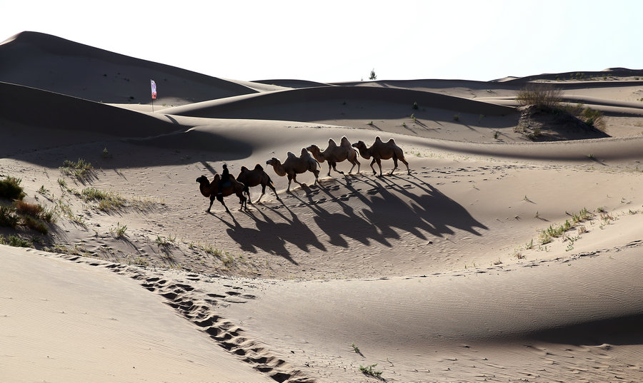 Le désert de Kubuqi, de dunes de sable stériles à paradis enchanteur