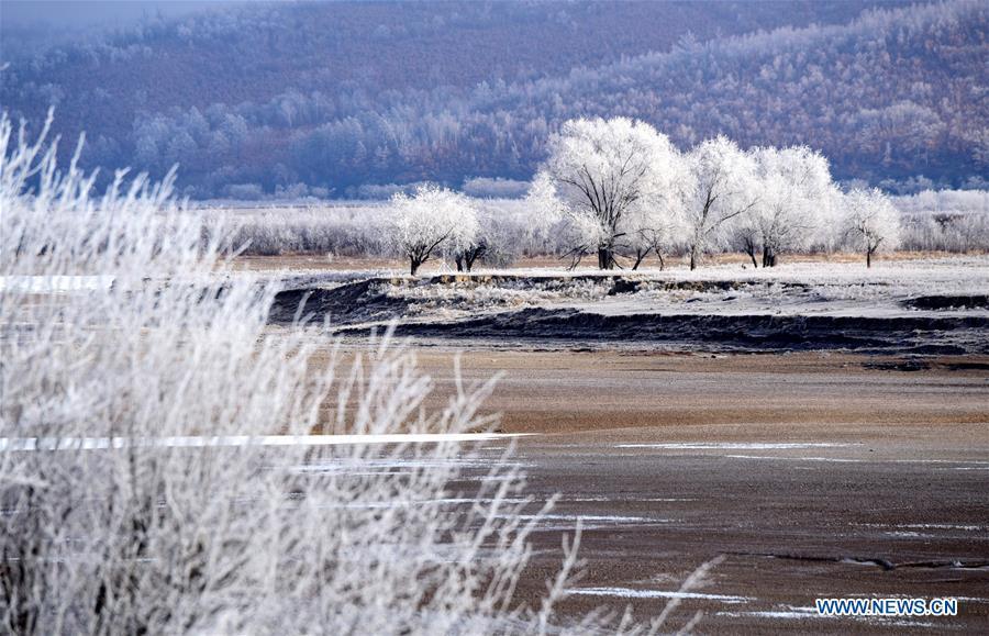 Paysage givré le long du fleuve Heilongjiang