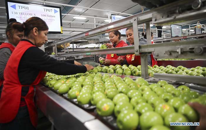 Exportation de pommes américaines en Chine via l'e-commerce 