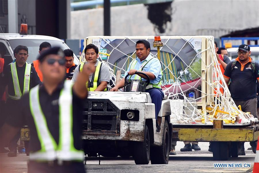 Un panda né en Malaisie de retour en Chine