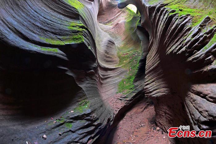 Le plateau de l?ss et son magnifique canyon en fente