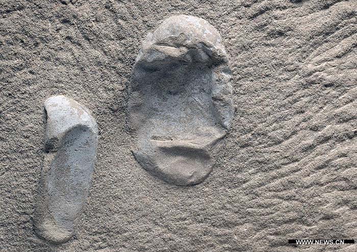 Des centaines d'oeufs de ptésoraures découverts en Chine?