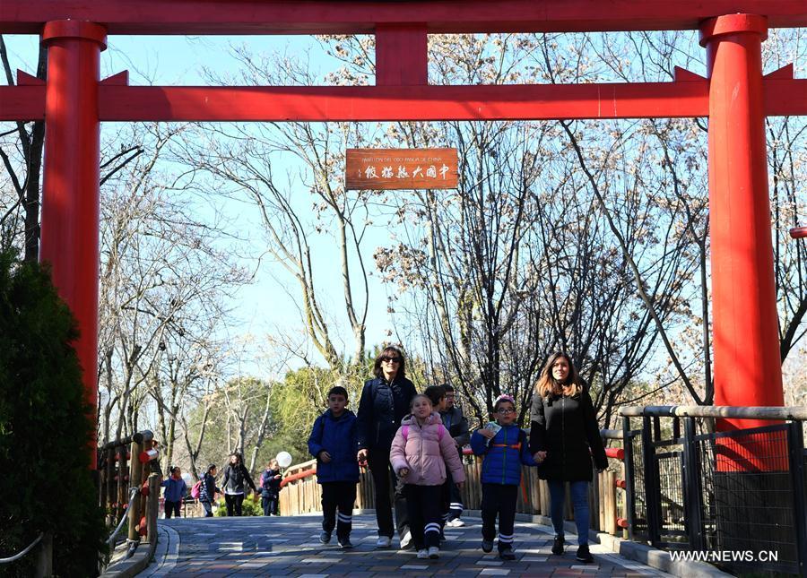 40e anniversaire de l'arrivée des pandas géants en Espagne