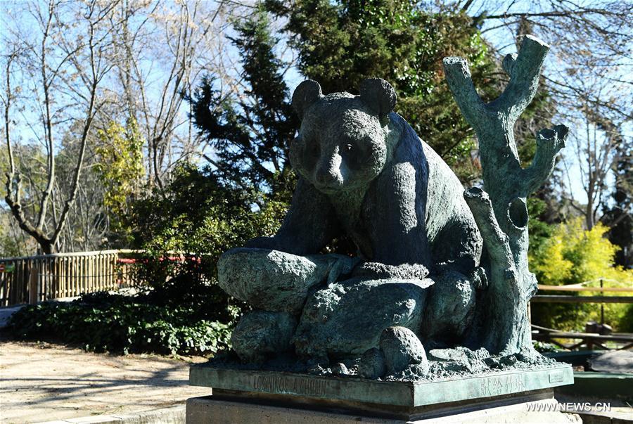 40e anniversaire de l'arrivée des pandas géants en Espagne