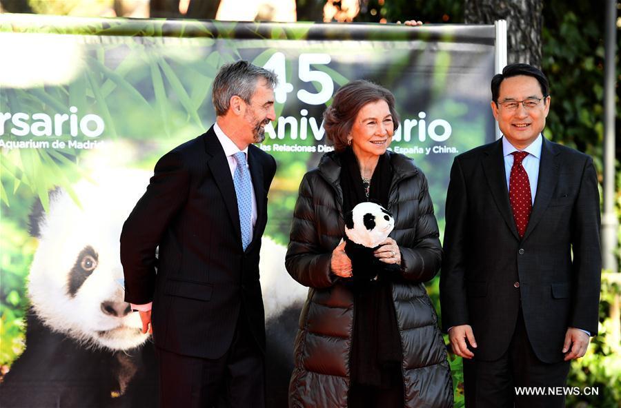 40e anniversaire de l'arrivée des pandas géants en Espagne