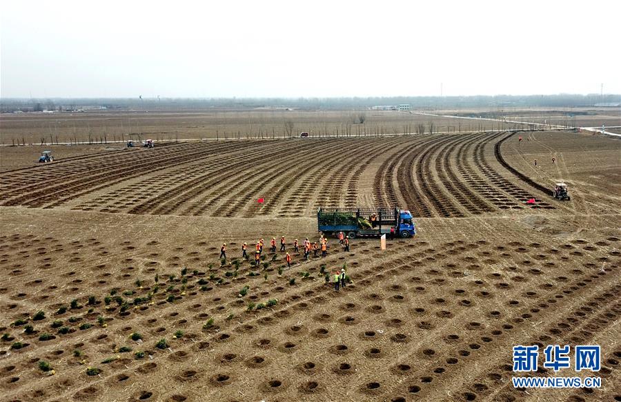 Premier anniversaire de la création de la Nouvelle Zone de Xiongan